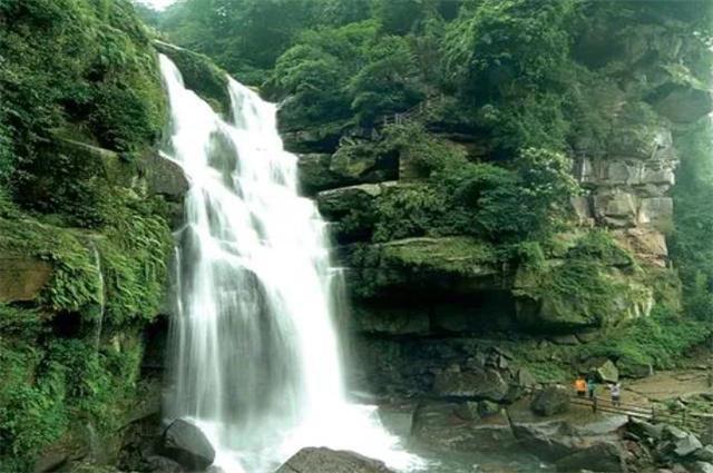 寻找火鸡